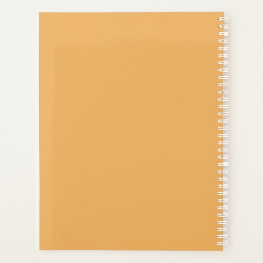 レトロ色オレンジピンク金ゴールドスストライプクリプト名 プランナー手帳 (裏面)