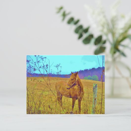 レトロ色馬 ポストカード (スタンド正面)