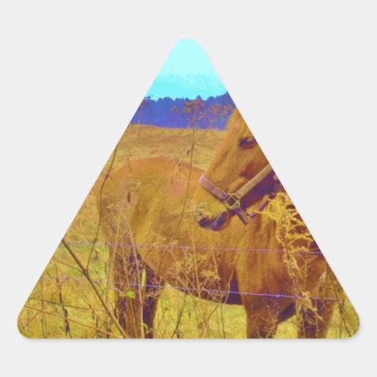 レトロ色馬 三角形シール (正面)