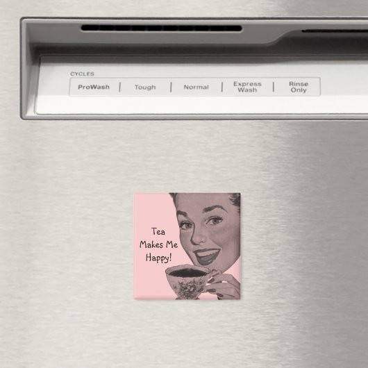 レトロ茶 マグネット (インサイチュ (食洗機))