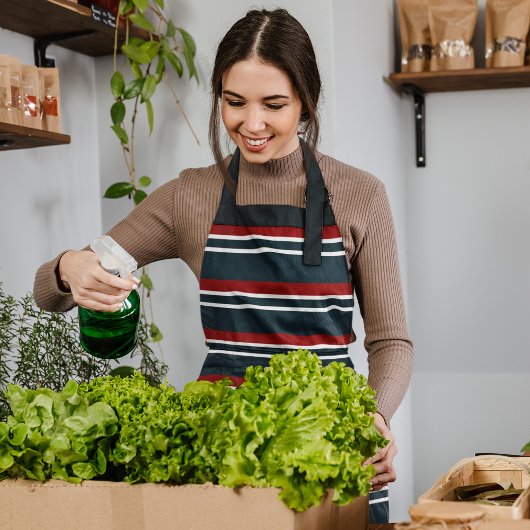 レトロ赤ストライプ色 エプロン