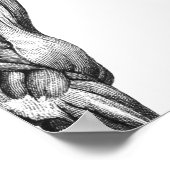 レトロ馬筋解剖学写真 ポスター (角)