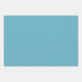 レトロ魚 ラッピングペーパーシート (正面3)