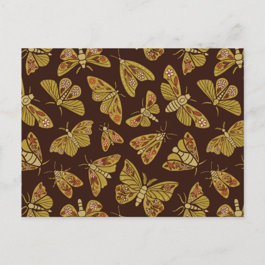 レトロ1970年代の蛾 ポストカード (正面)