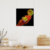 レトロ ポスター (キッチン)