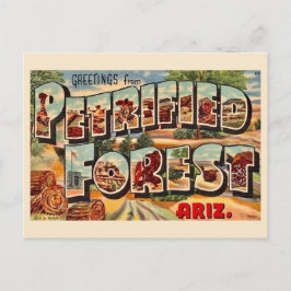 レトロ 化石の森 アリゾナ州 ポストカード