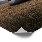 レトロSCI – フィッシュ。クラッシュしたUFO ポスター (角)