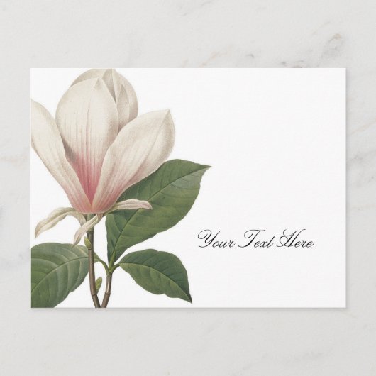 レドゥテマグノリア ポストカード (正面)