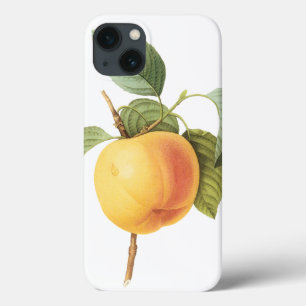 レドゥーテによるカルヴィル・アップル、ヴィンテージ フルーツ フード iPhone 13ケース