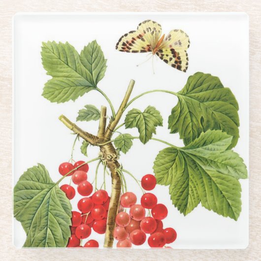 レドゥーテプラントガラスコースター ガラスコースター (正面)