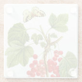 レドゥーテプラントガラスコースター ガラスコースター (裏面)