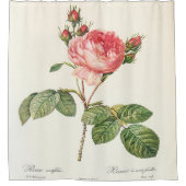 レドゥーテローザムカフォリア シャワーカーテン (正面)