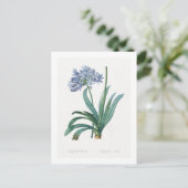 レドゥーテ植物の葉書「ナイルのユリ」 ポストカード (スタンド正面)