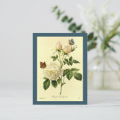 レドテイラストレーションベンガルバラハイマネ ポストカード (スタンド正面)