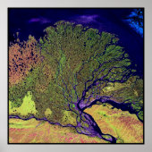 レナデルタロシア ポスター (正面)