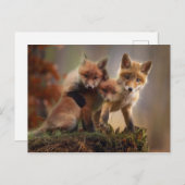 レナーズ ポストカード (正面/裏面)