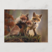 レナーズ ポストカード (正面)