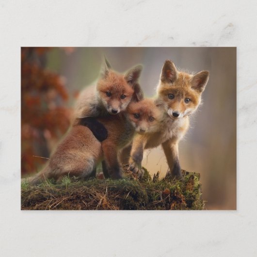 レナーズ ポストカード (正面)