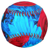 レニルデ ソフトボール (正面)