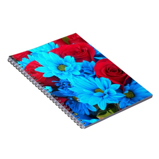 レニルド ノートブック (右側)