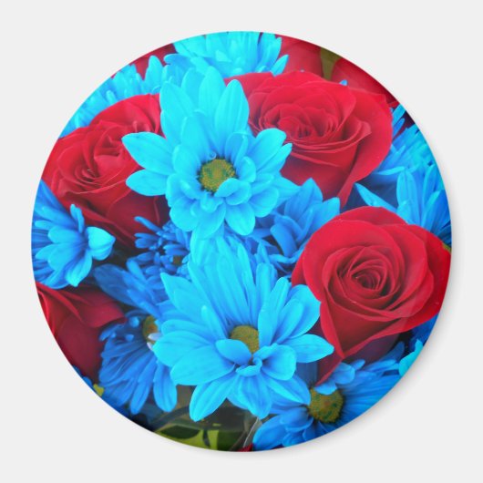 レニルド マグネット (正面)