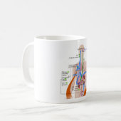 レニン・アンジオテンシン系図ヒト体図 コーヒーマグカップ (正面左)
