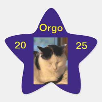 レニー・ステッカー 星シール