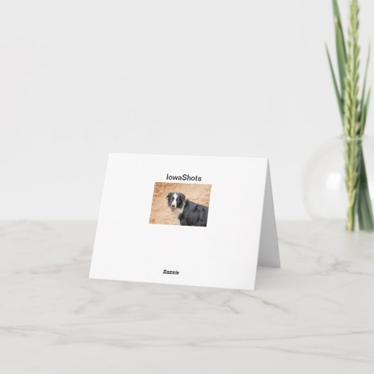 レネ シーズンカード (裏面)