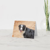 レネ シーズンカード (正面)