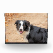 レネ フォトブロック (正面)