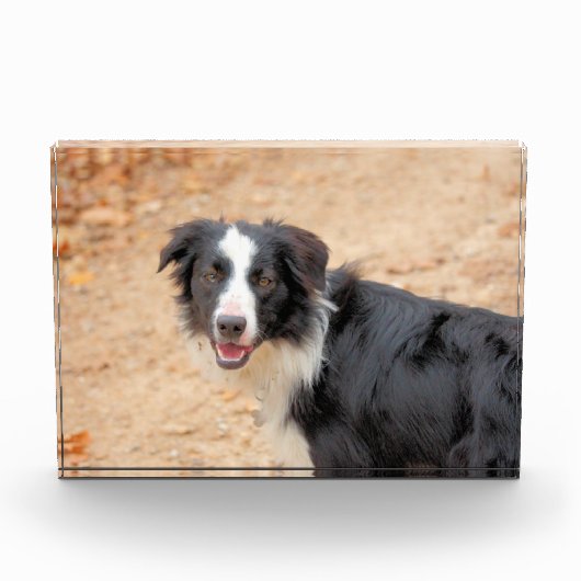 レネ フォトブロック (正面)