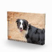 レネ フォトブロック (右)