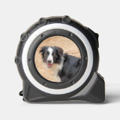 レネ メジャー (正面)