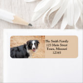 レネ ラベル (インサイチュ)