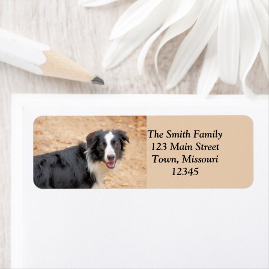 レネ ラベル (インサイチュ)