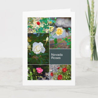 レノのネバダのバラは写真のコラージュを駐車します カード