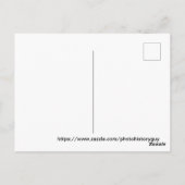 レノネバダカラフルヴィンテージ水彩画ネオン ポストカード (裏面)