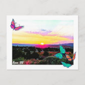 レノNV ポストカード (正面)