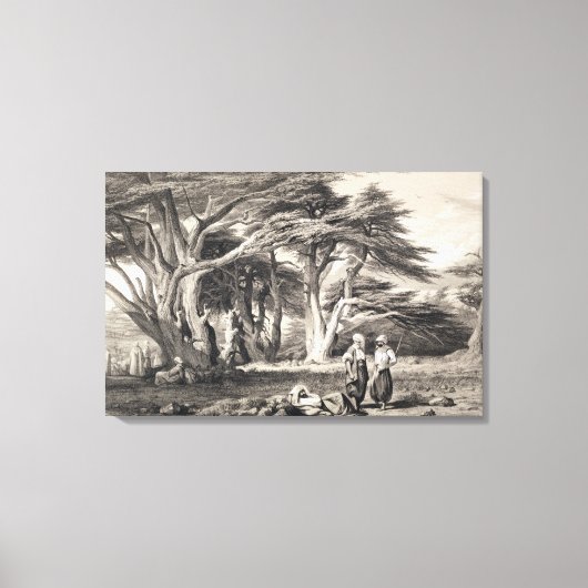 レバノンの杉の木、フリーマン（セピア）彫り キャンバスプリント (正面)