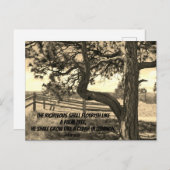 レバノンの杉の聖書詩篇91:12 ポストカード (正面/裏面)