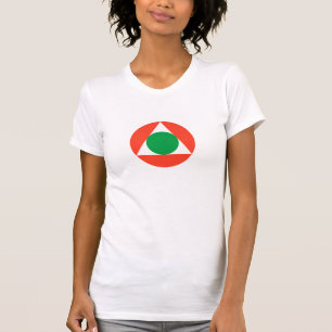レバノンエアフォースローンデル Tシャツ
