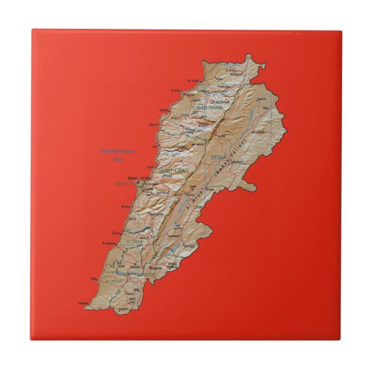 レバノンマップタイル タイル (正面)