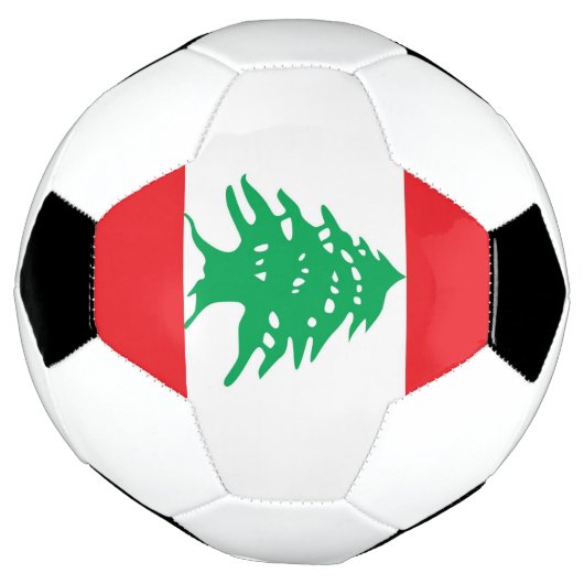 レバノン国旗を掲げた愛国的なサッカーボール サッカーボール (回転)
