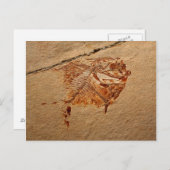 レバノン白亜紀の化石魚 ポストカード (正面/裏面)