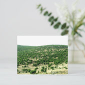 レバノン・バール ポストカード (スタンド正面)