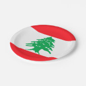 レバノン ペーパープレート (アングル)