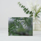 レバノン ポストカード (スタンド正面)