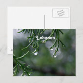 レバノン ポストカード (正面/裏面)