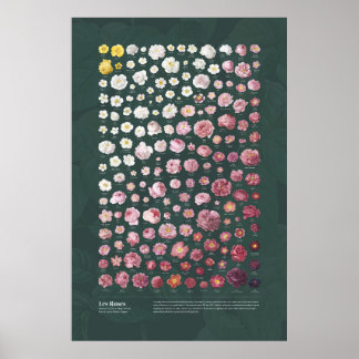 レバラズバイレドゥーテ ポスター