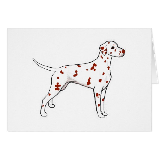 レバーダルマチア人 (正面横)